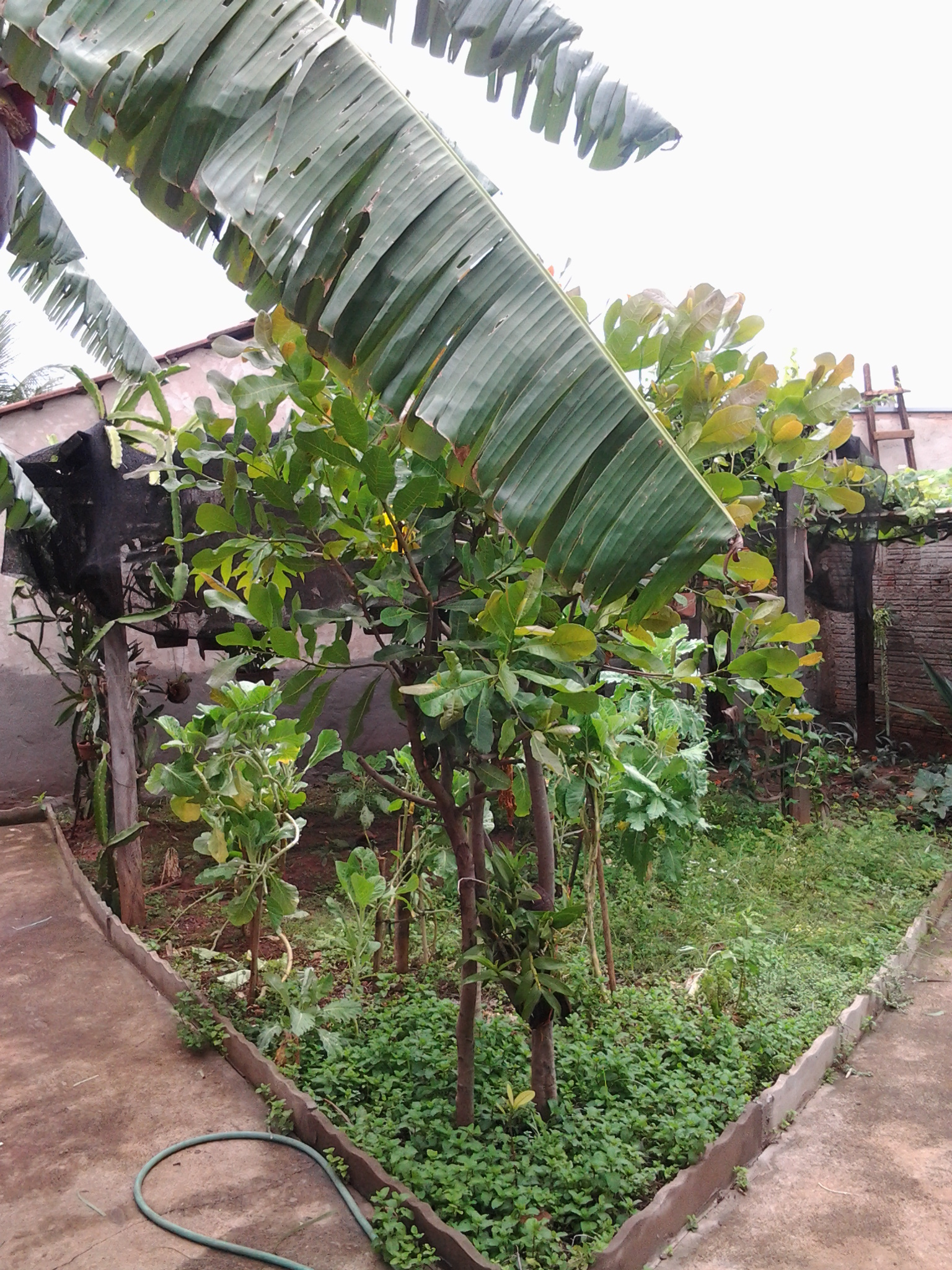 Vendo Casa