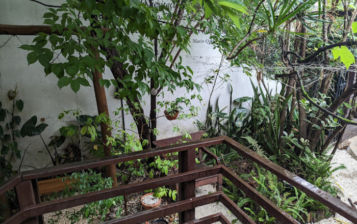 Quintana Gastronomia